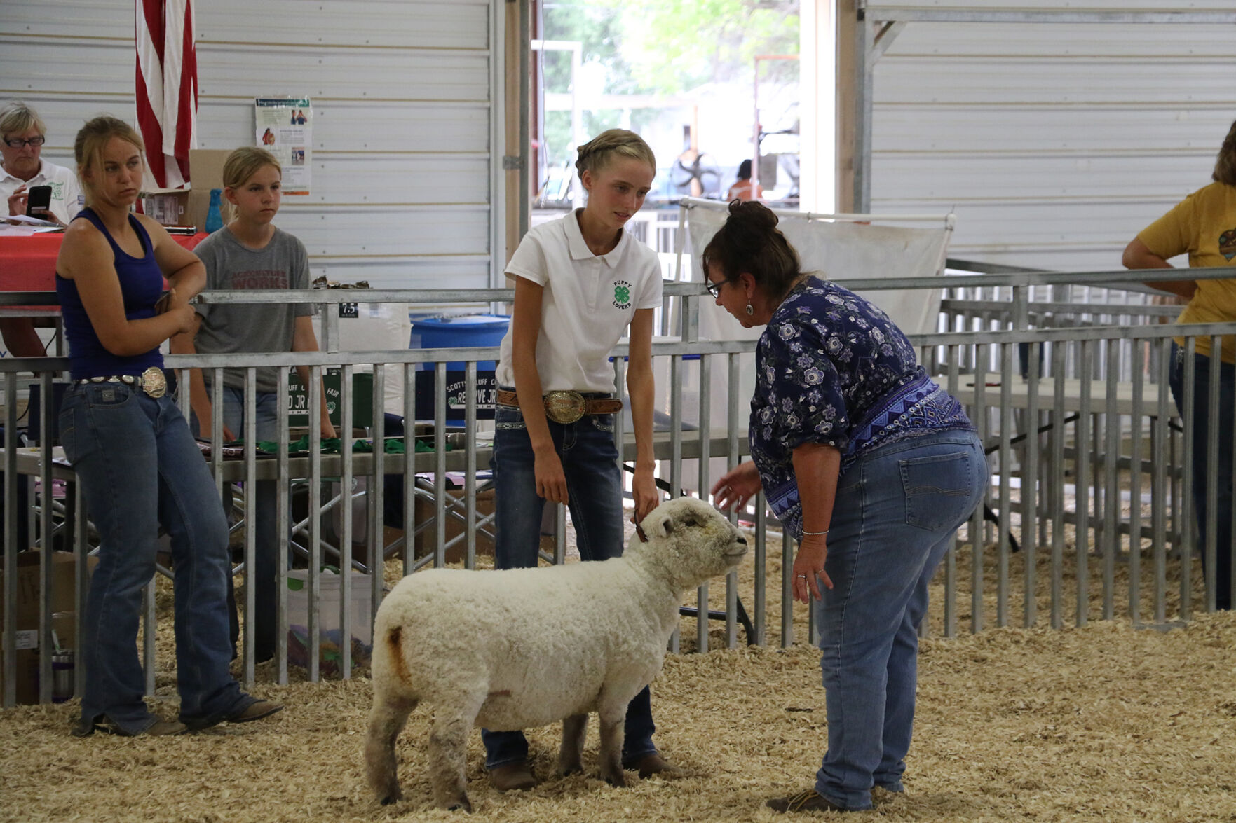 PHOTOS: Fiber Animal Show